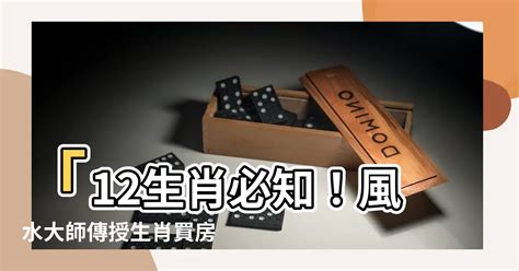 生肖買房樓層|【生肖 樓層】12生肖選對樓層旺運指南！你的屬相住幾樓最好運？